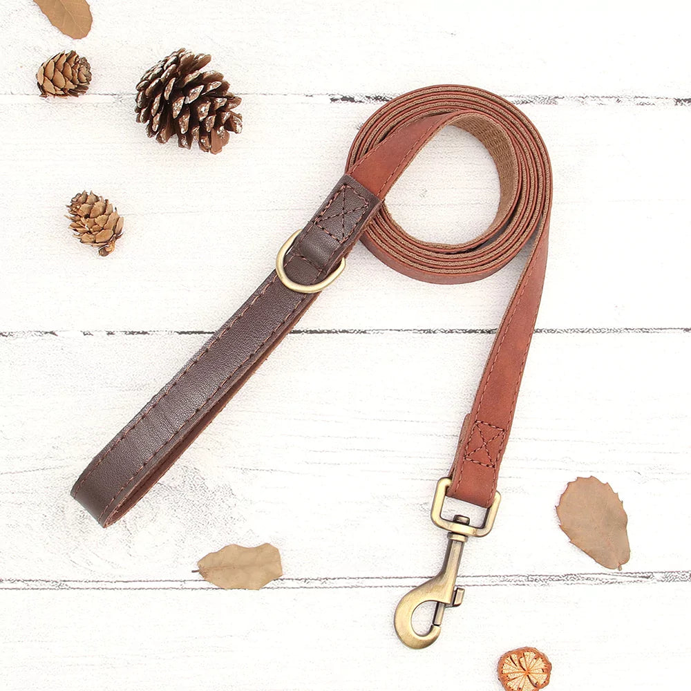 Brown leather dog leash with brass clip on a white wooden surface with pine cones and leaves.