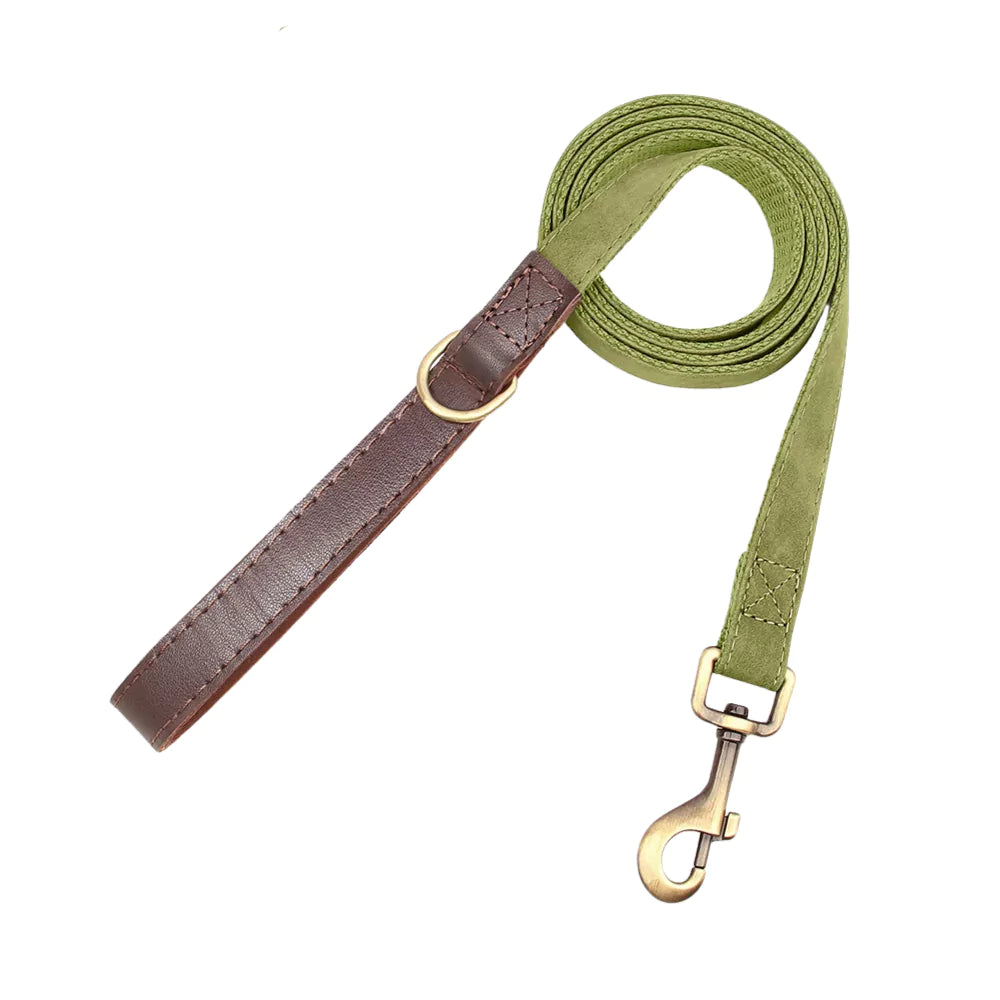 Green dog leash with brown leather handle and gold clasp on a white background