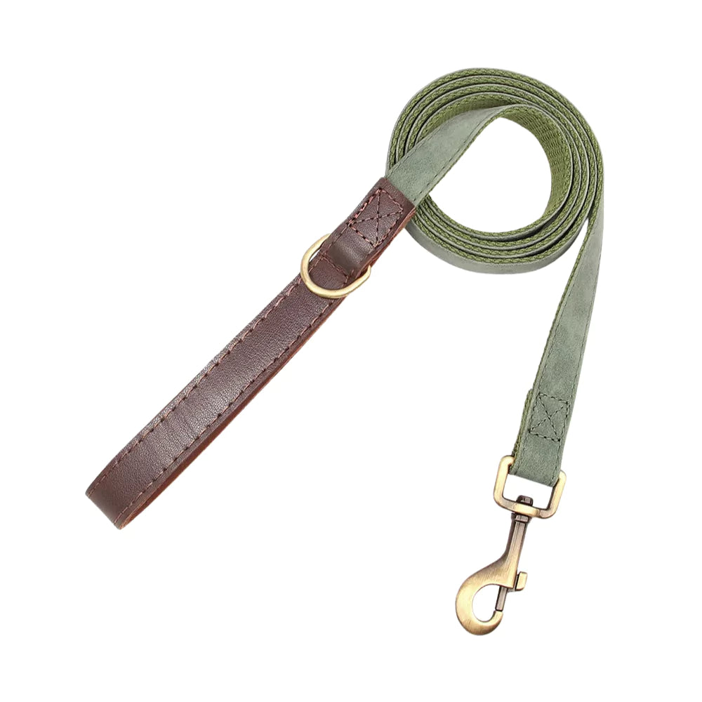 Dog leash with brown and green straps on a white background