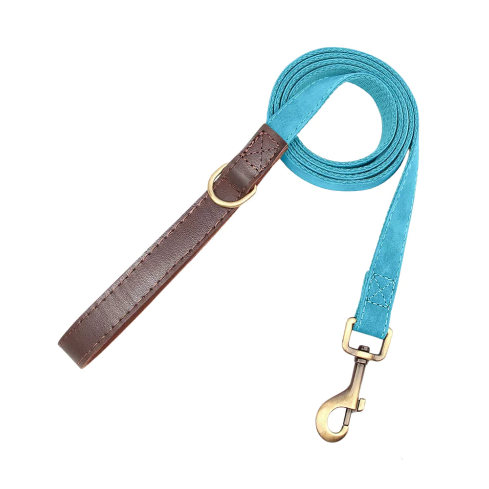 Blue dog leash with brown leather handle on a white background