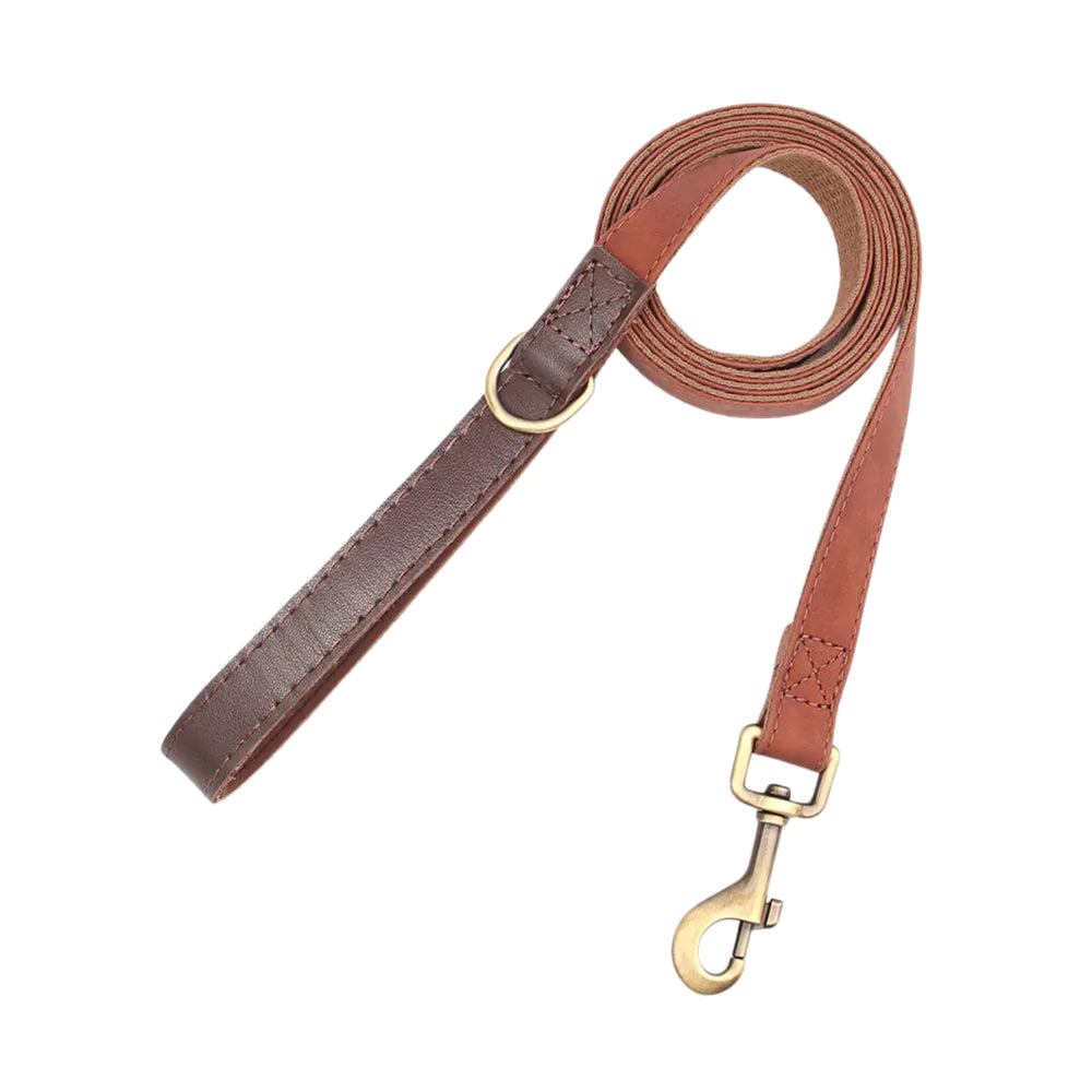 Brown leather dog leash with gold hardware on a white background