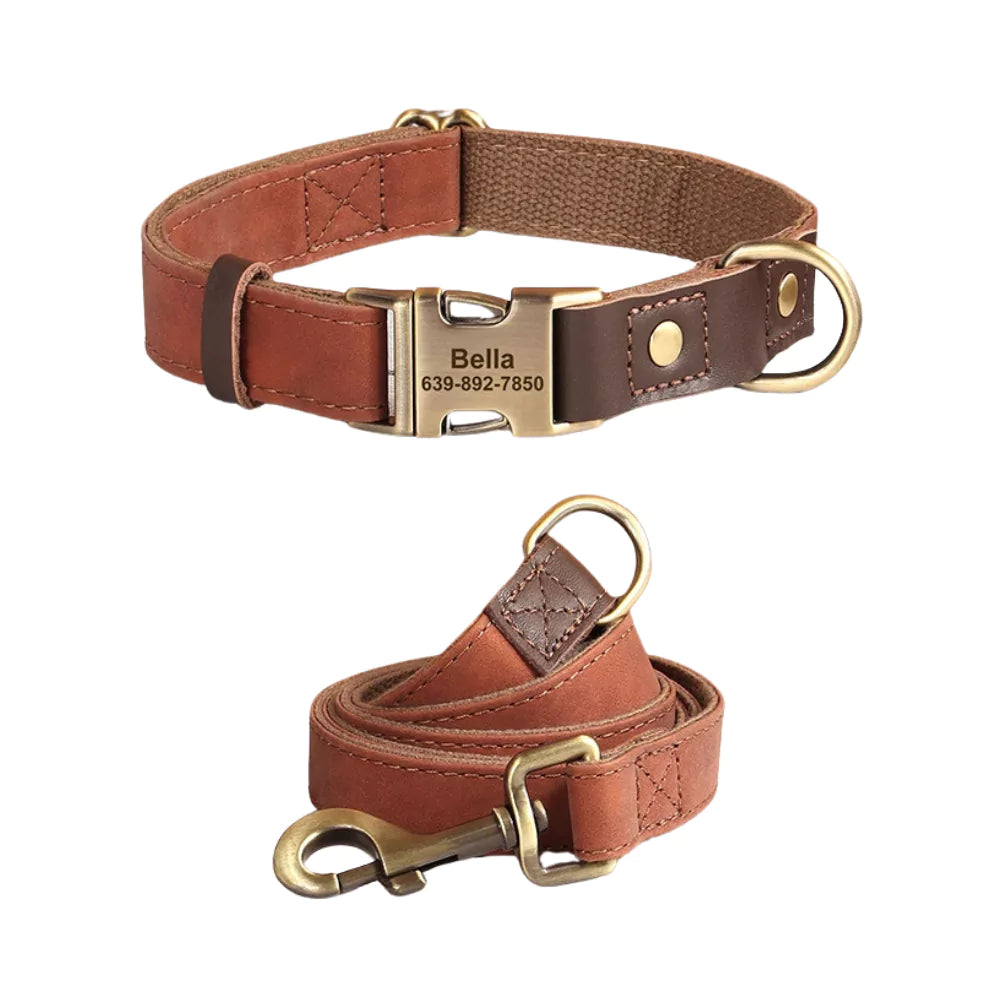 Brown leather dog collar and leash set with gold hardware on a white background