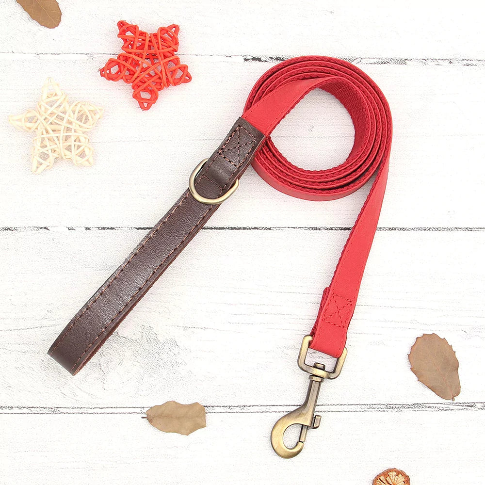 Red and brown dog leash with gold clasp on a white wooden surface