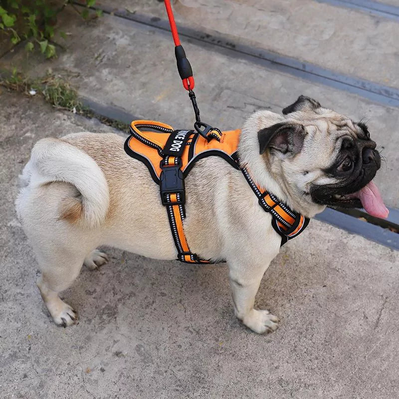 Red Custom Canine Dog Y Harness