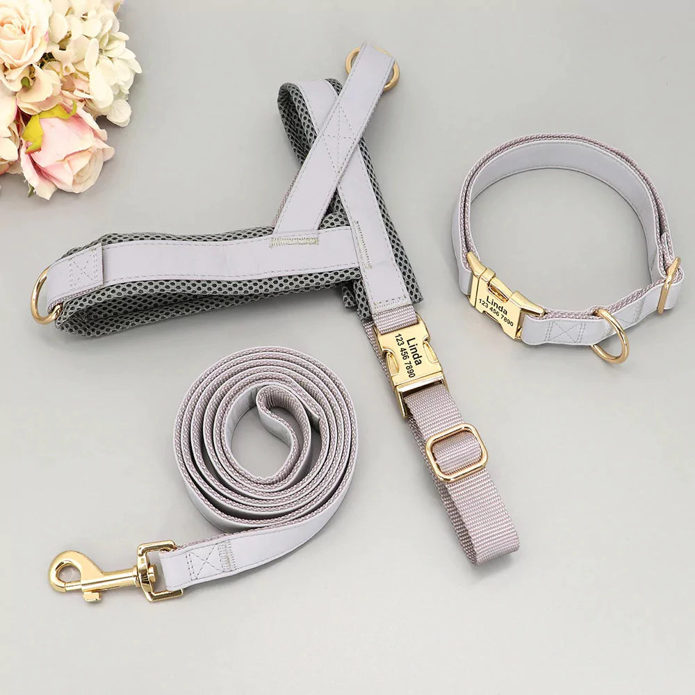 Custom Belgravia Dog Gear Set Harness Collar Leash Canine Culture