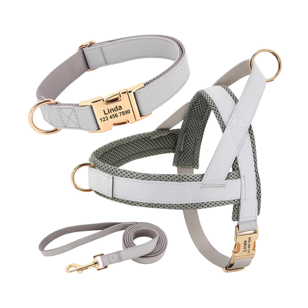 White Custom Belgravia Dog Gear Set Harness Collar Leash Canine Culture