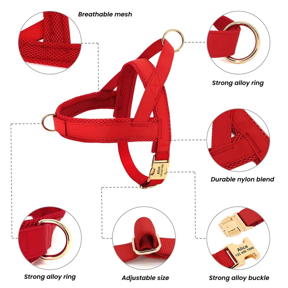 Custom Belgravia Dog Gear Set Harness Collar Leash Canine Culture