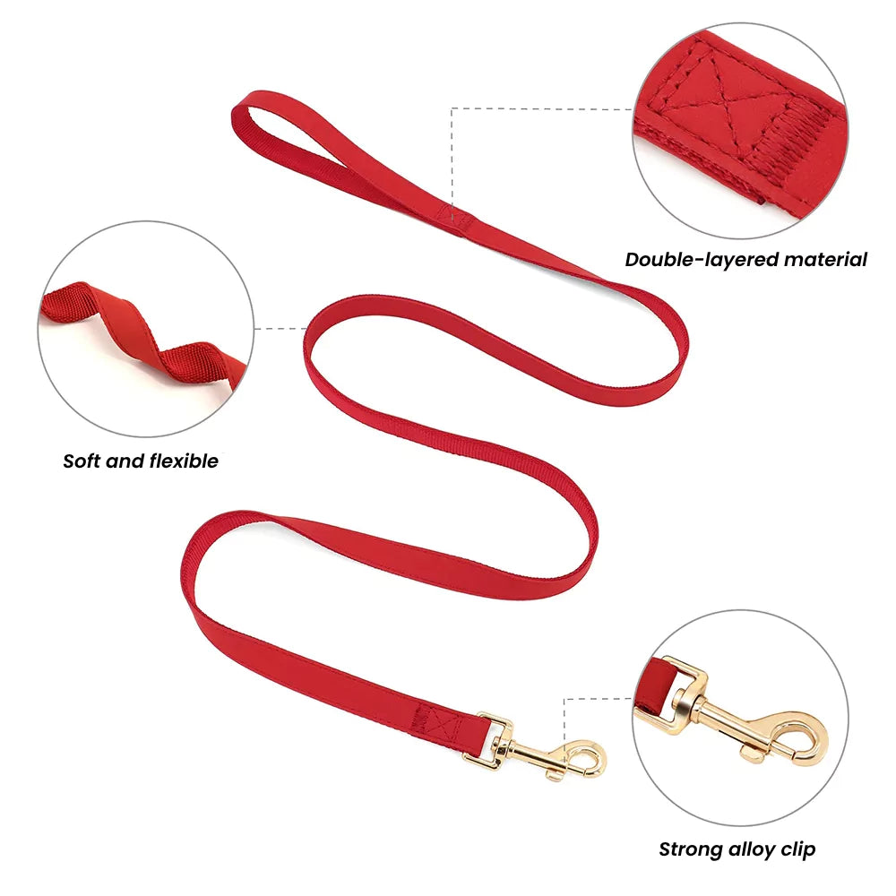 Custom Belgravia Dog Gear Set Harness Collar Leash Canine Culture
