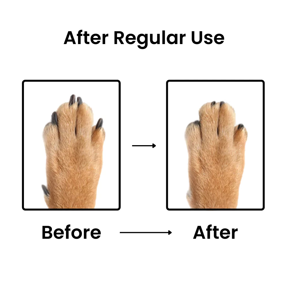 Dog Nail Scratch Board Nail Trimmer Canine Culture