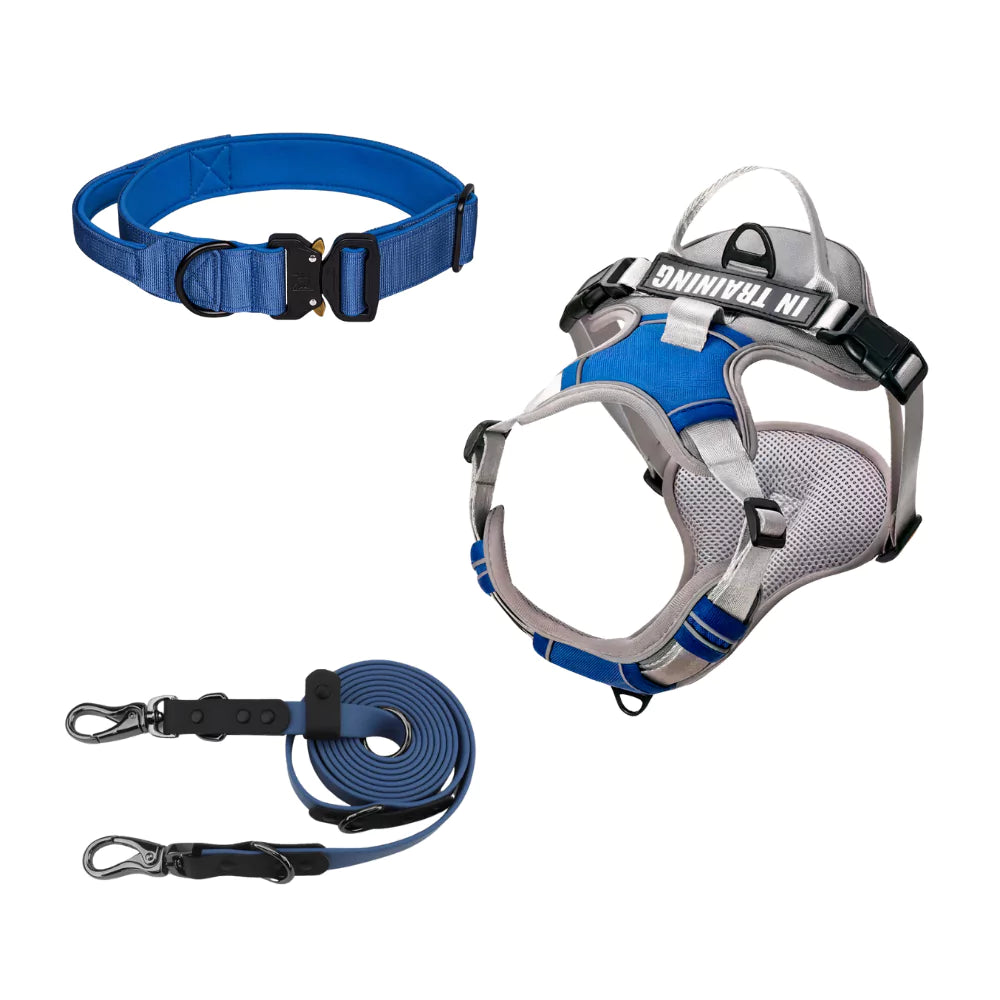 Blue Canine Dog Gear Set
