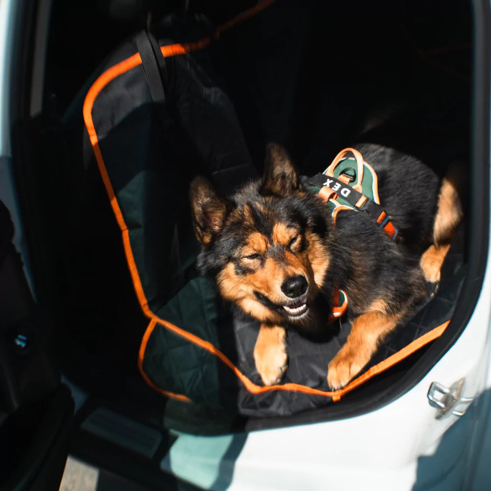 Full Dog Car Seat Cover Waterproof Canine Culture