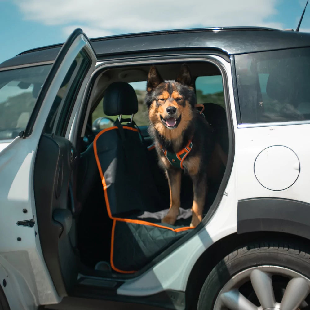 Full Dog Car Seat Cover Waterproof Canine Culture