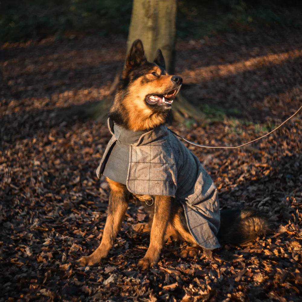 Huntsman Dog Coat Luxury Vintage Plaid Waterproof Canine Culture