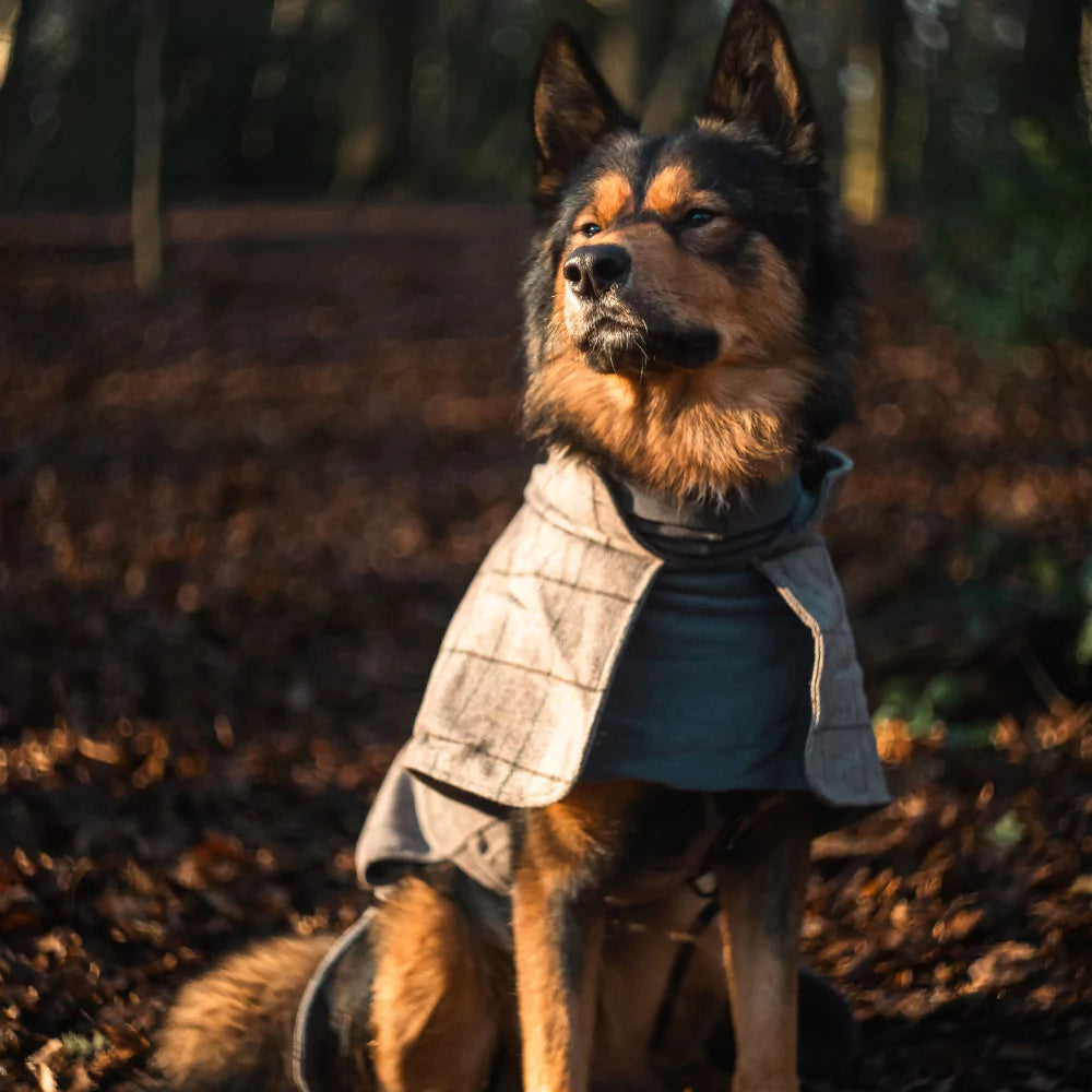 Huntsman Dog Coat Luxury Vintage Plaid Waterproof Canine Culture