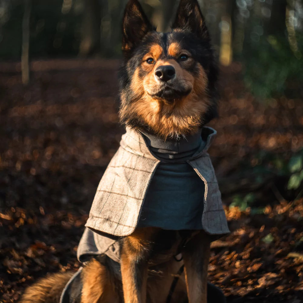Huntsman Dog Coat Luxury Vintage Plaid Waterproof Canine Culture