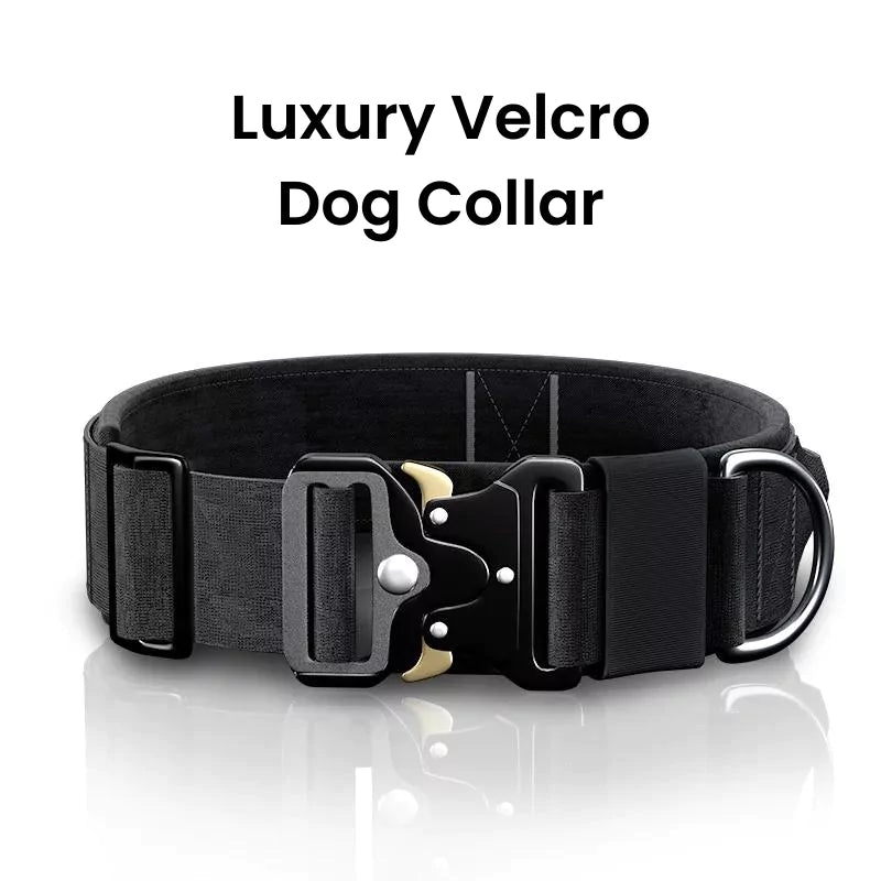 luxury velcro dog collar canine culture