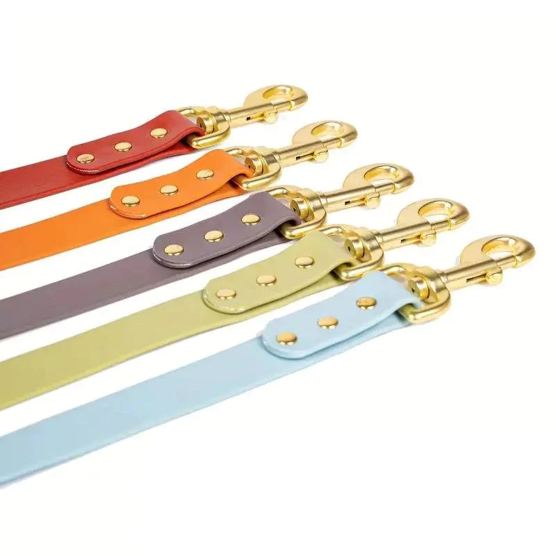 Gold Riveted PVC Dog Leash