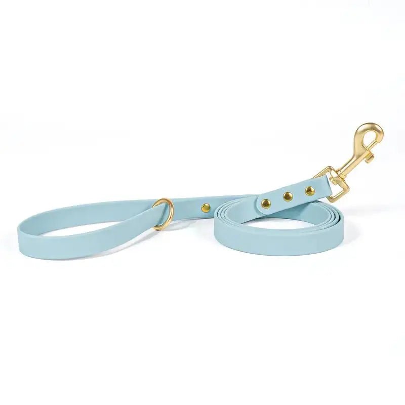 Gold Riveted PVC Dog Leash