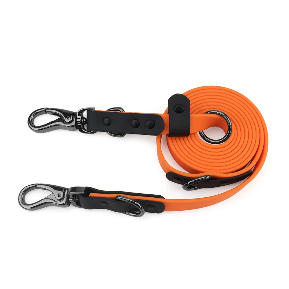 canine culture dog leash dog lead double ended two clips