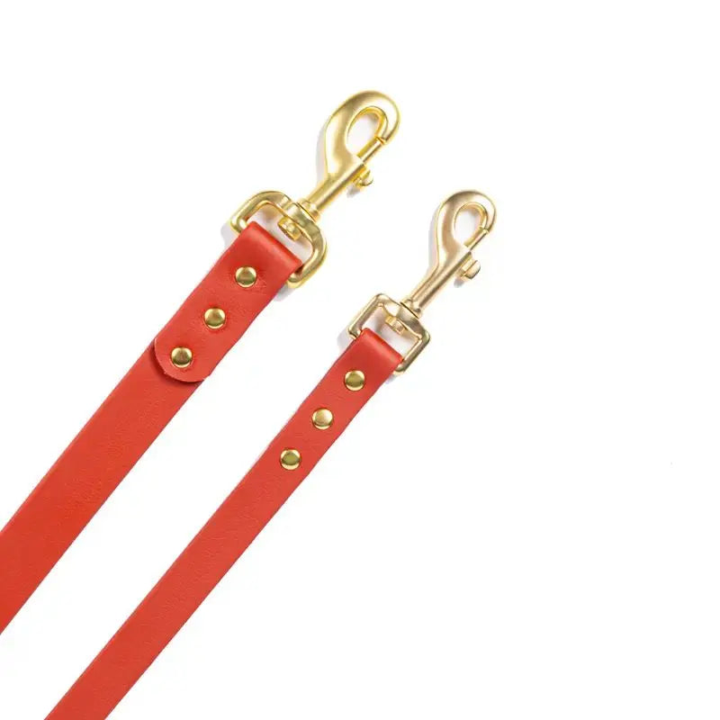 Gold Riveted PVC Dog Leash