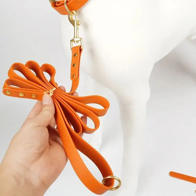 Gold Riveted PVC Dog Leash