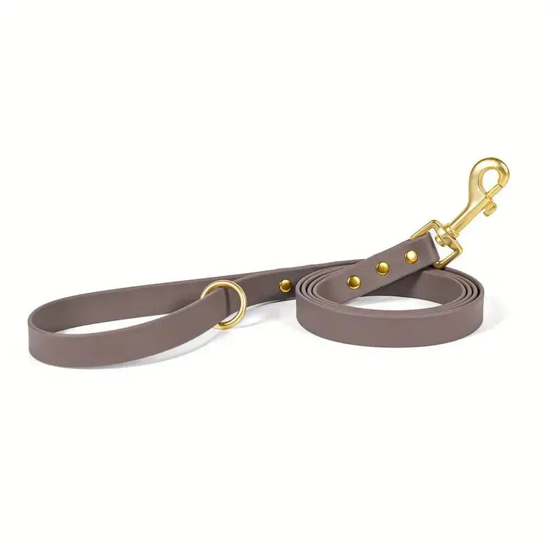 Gold Riveted PVC Dog Leash
