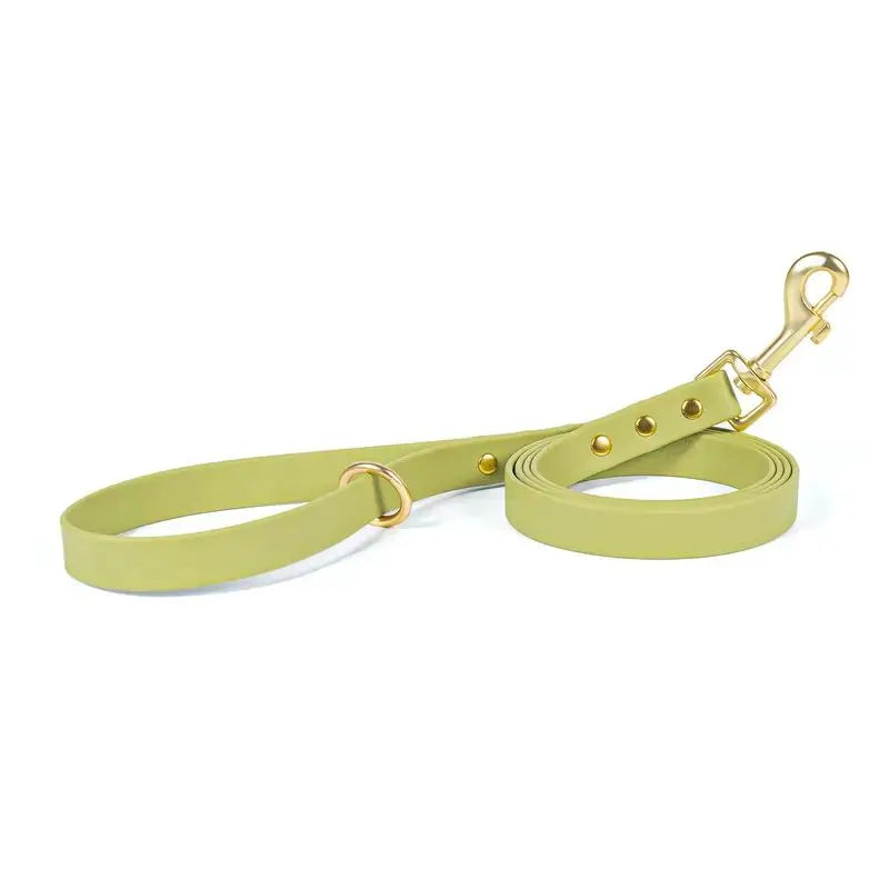Gold Riveted PVC Dog Leash