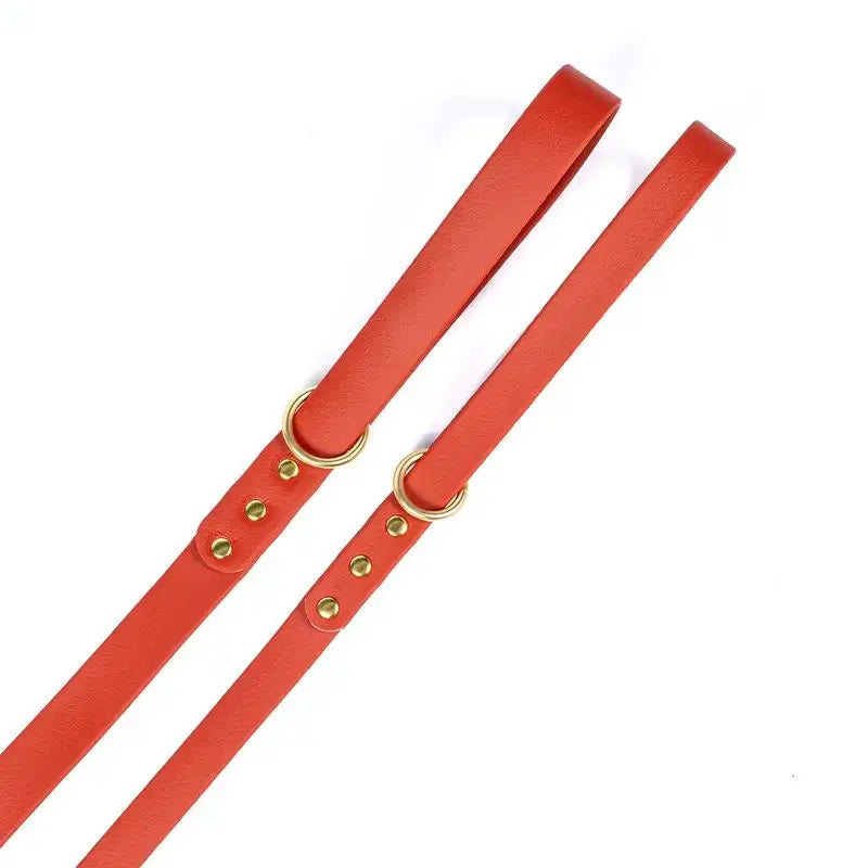 Gold Riveted PVC Dog Leash