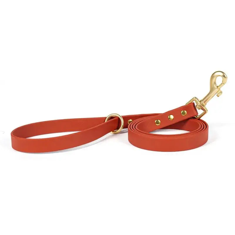 Gold Riveted PVC Dog Leash