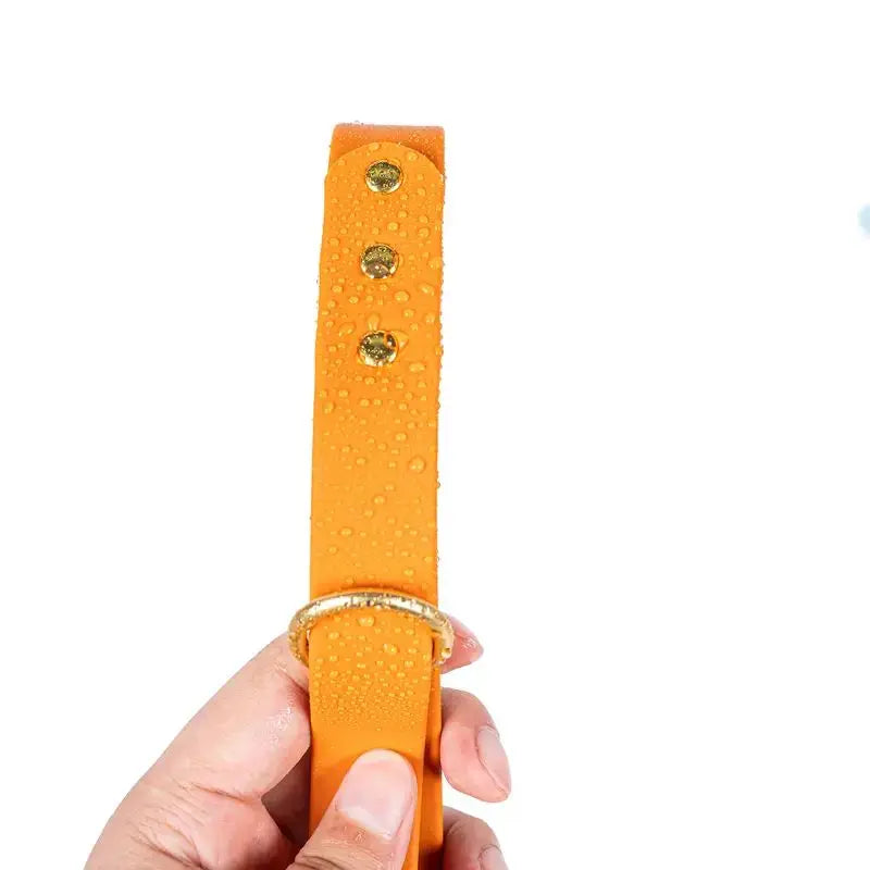 Gold Riveted PVC Dog Leash