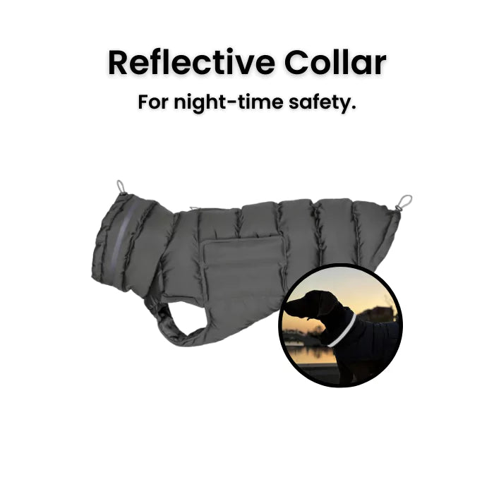 Pink Ultra-Padded Dog Down Coat | Waterproof