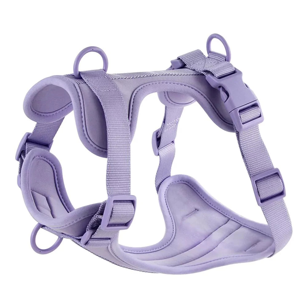 purple pvc urban dog harness Y shape front two clips canine culture
