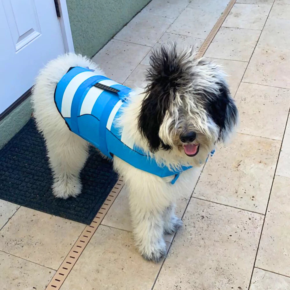 Voyager Dog Life Jacket Safety Vest Bouyant Waterpoof Canine Culture