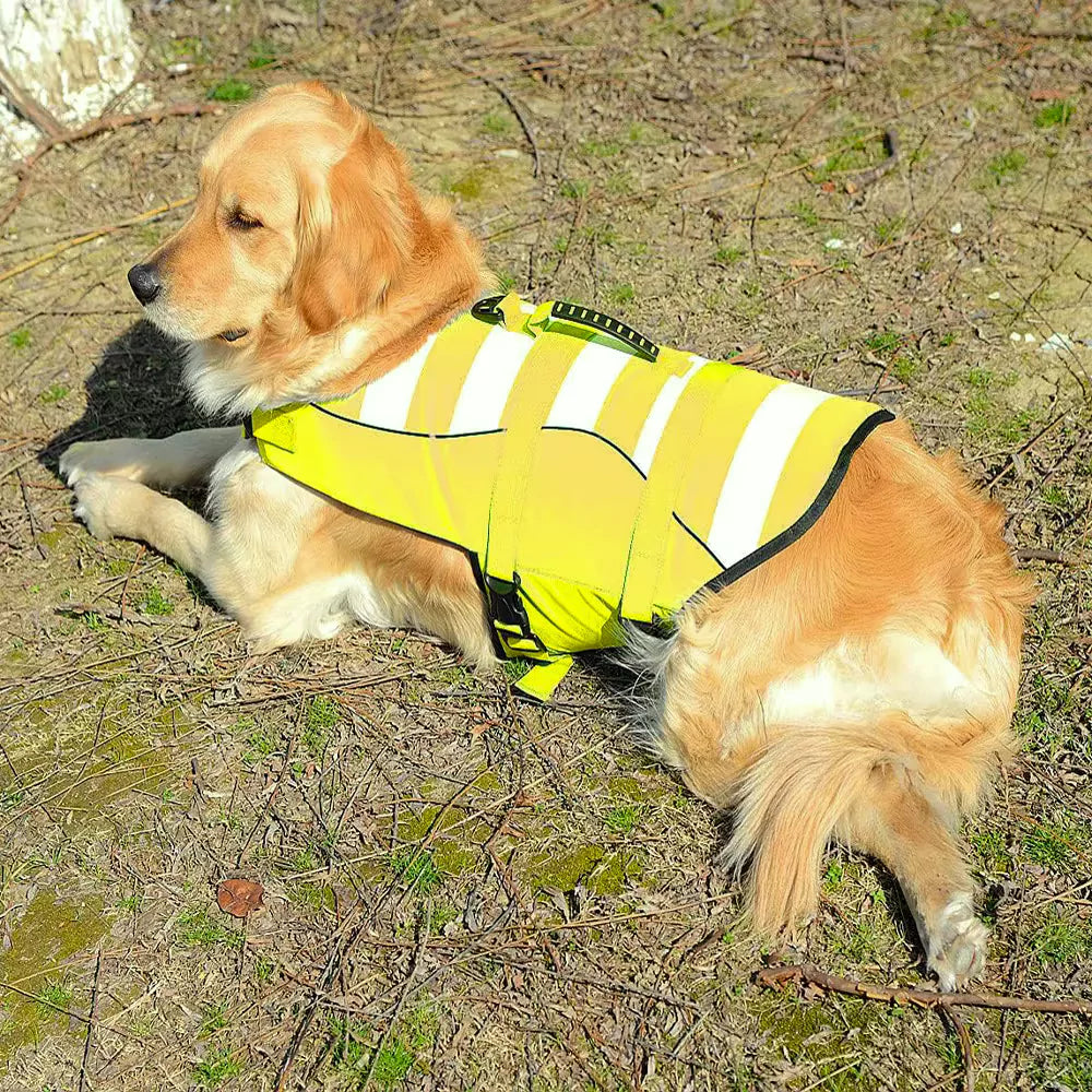 Voyager Dog Life Jacket Safety Vest Bouyant Waterpoof Canine Culture