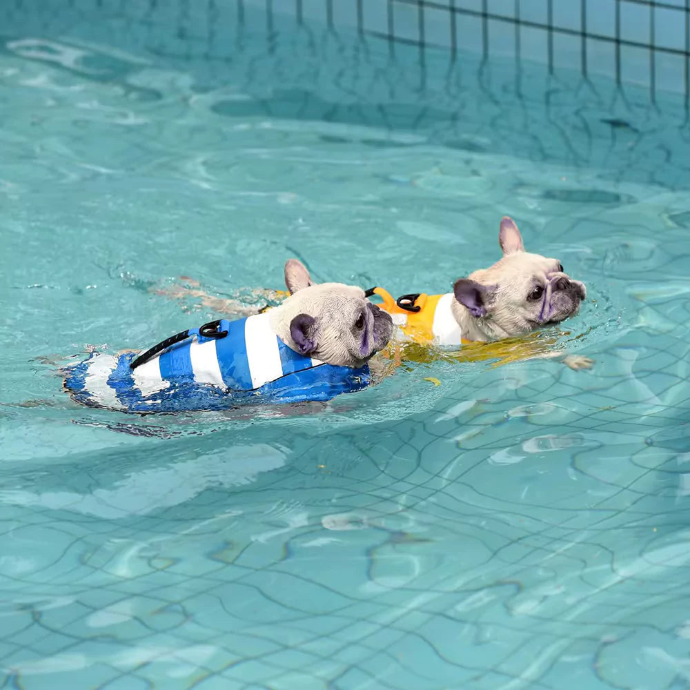 Voyager Dog Life Jacket Safety Vest Bouyant Waterpoof Canine Culture