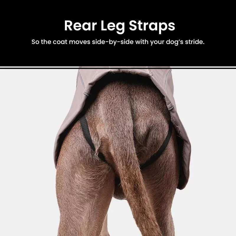 Waterproof Ultra-Flex Dog Coat