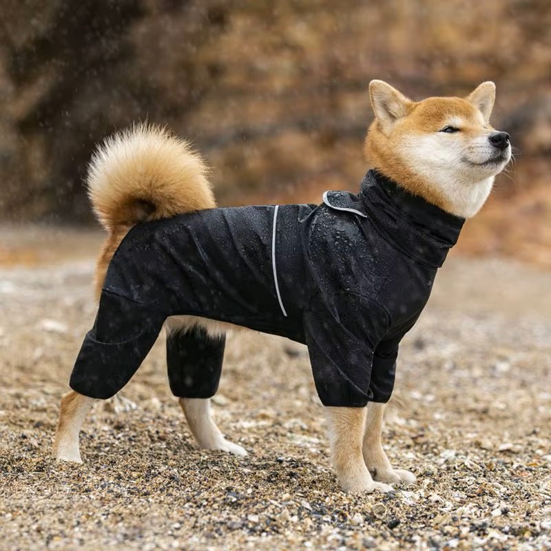 Black Explorer Dog Raincoat | Waterproof - Canine Culture