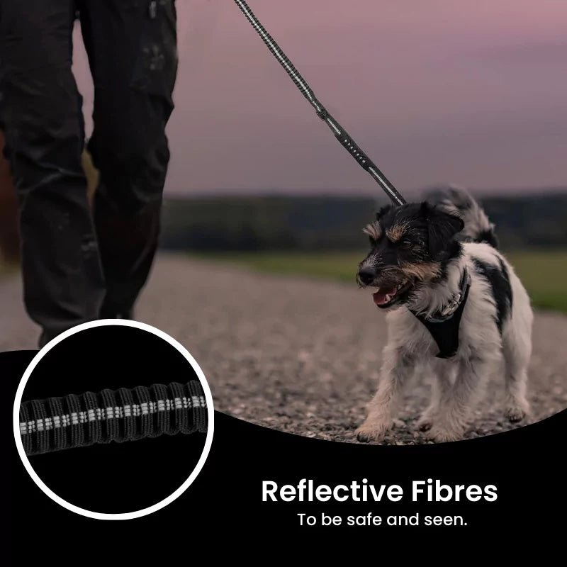 Black Heavy Duty Bungee Dog Leash - Canine Culture
