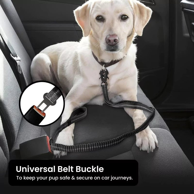 Black Heavy Duty Bungee Dog Leash - Canine Culture