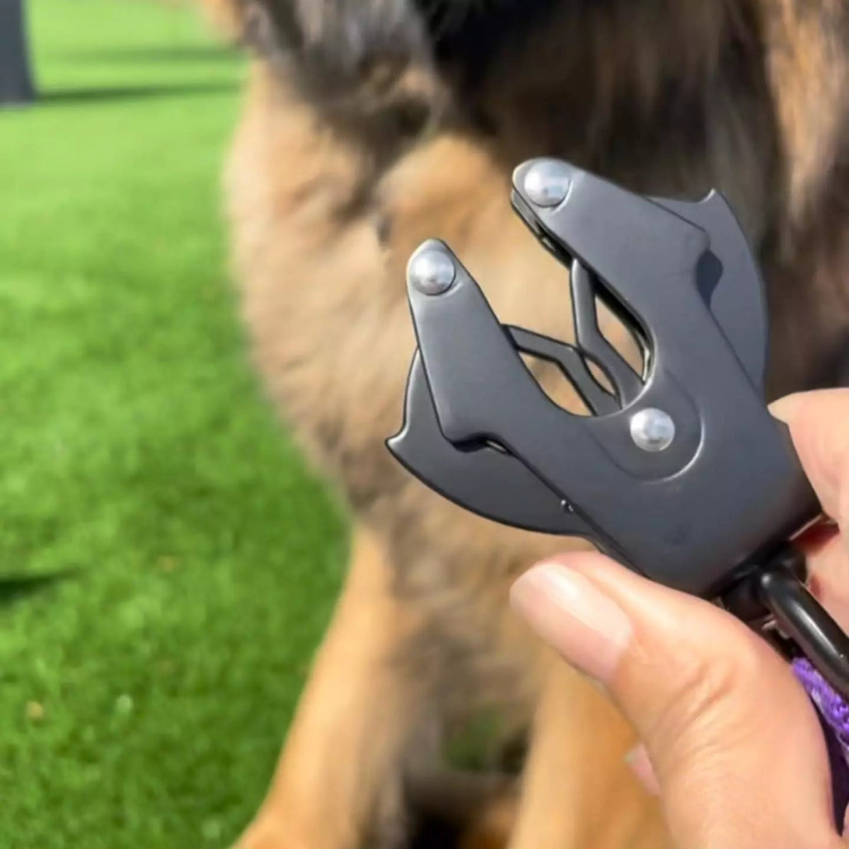 Black Heavy Duty Bungee Dog Leash - Canine Culture