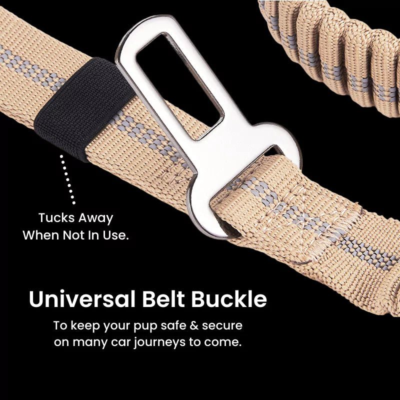 Black Heavy Duty Bungee Dog Leash - Canine Culture