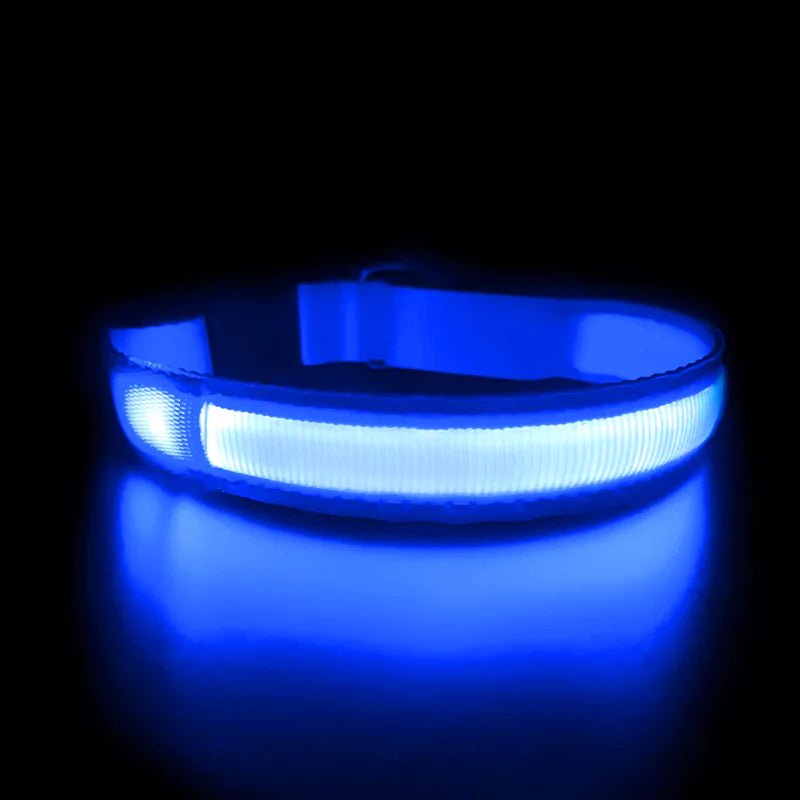 Blue LED Dog Collar | Waterproof - Canine Culture