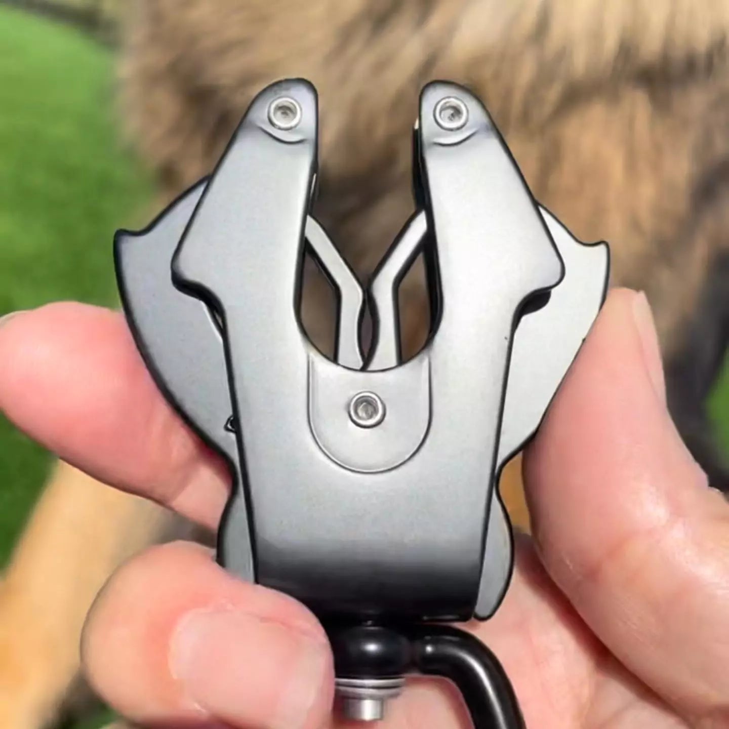 Bungee Dog Leash | Titanium Frog Clip