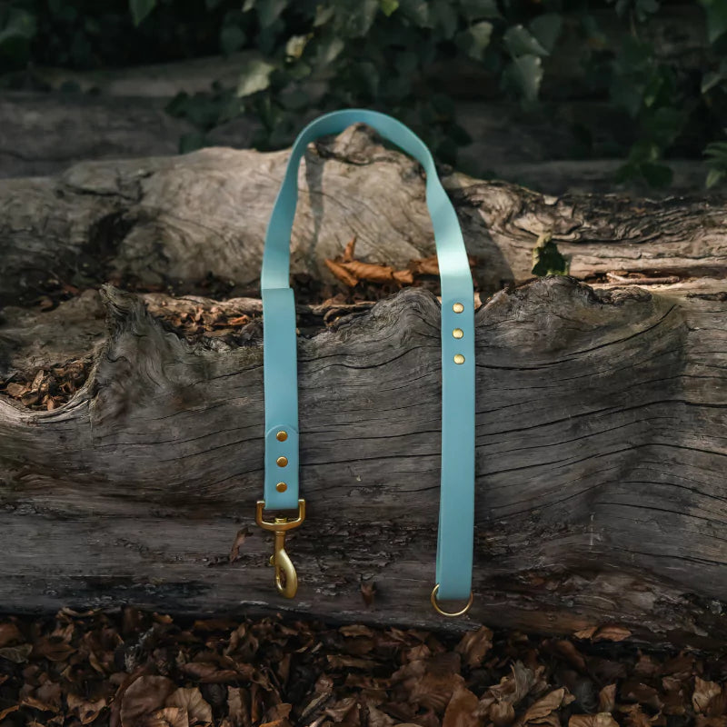 CANINE CULTURE COLLECTIONS CC LEASH