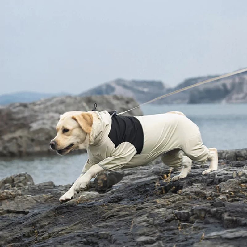 Cream Explorer Dog Raincoat | Waterproof - Canine Culture