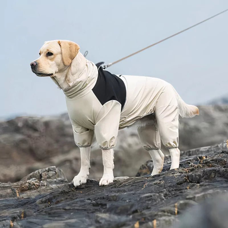 Cream Explorer Dog Raincoat | Waterproof - Canine Culture
