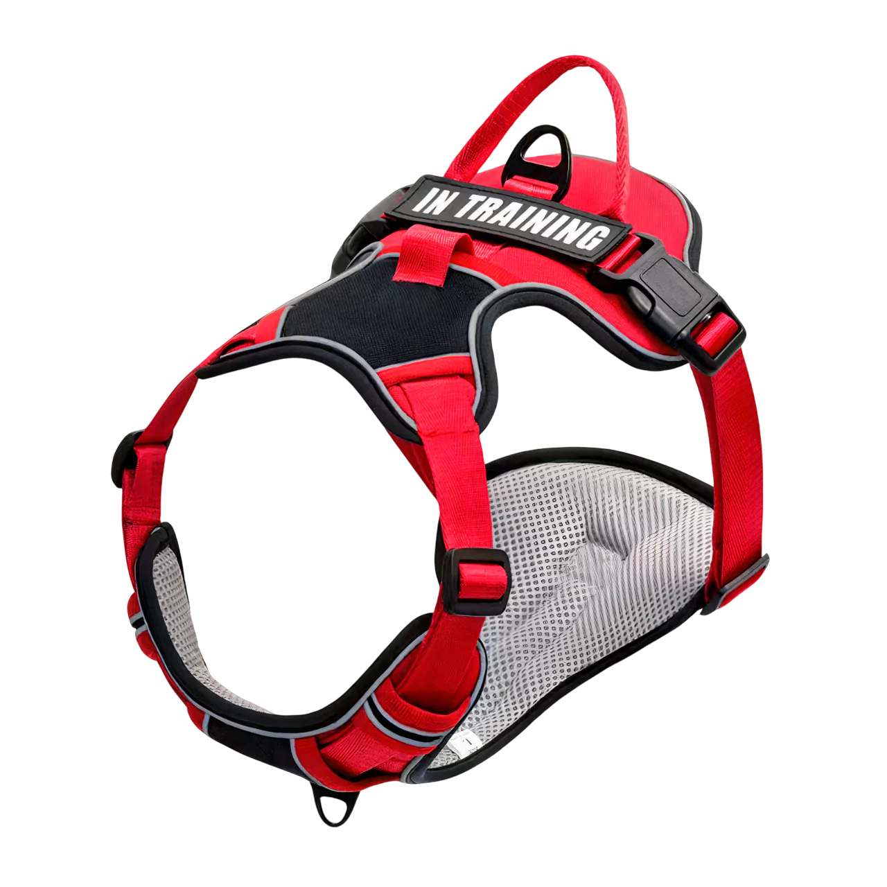 custom canine dog harness personalized active Y shape canine culture