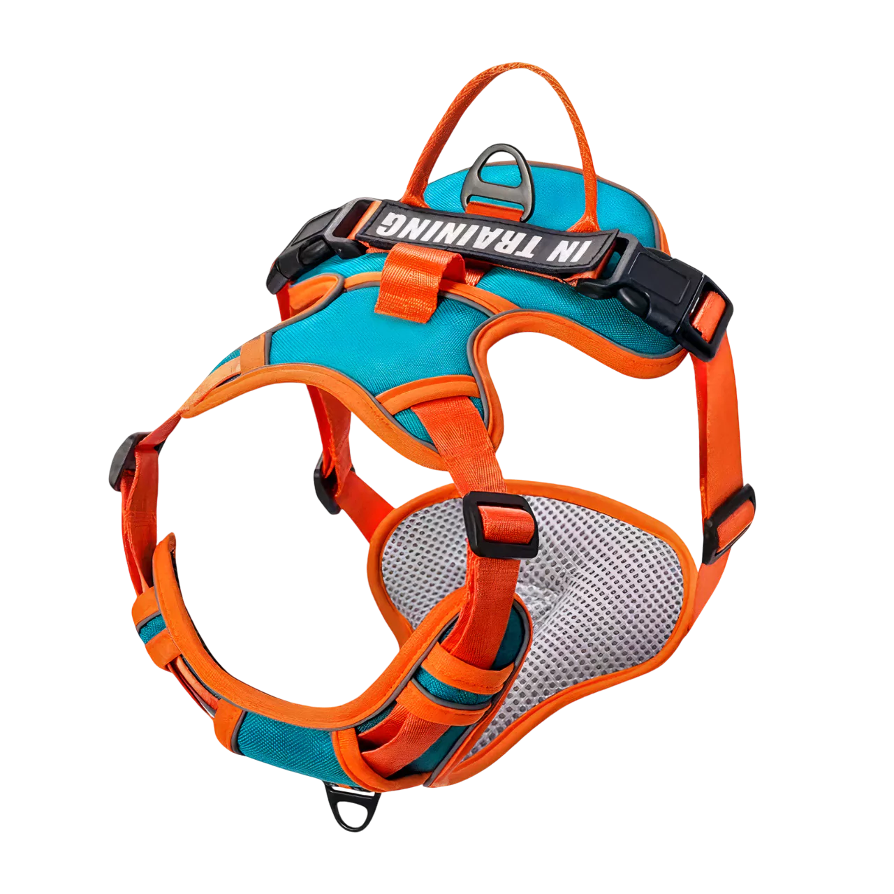 custom canine dog harness personalized active Y shape canine culture