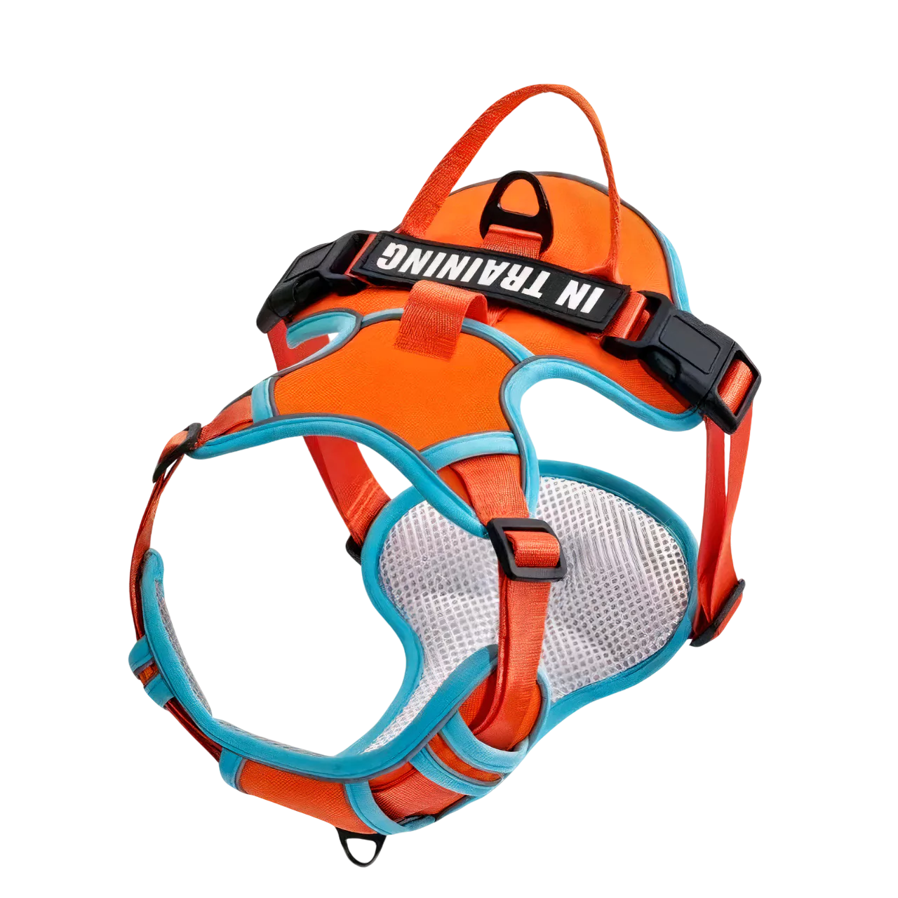 custom canine dog harness personalized active Y shape canine culture