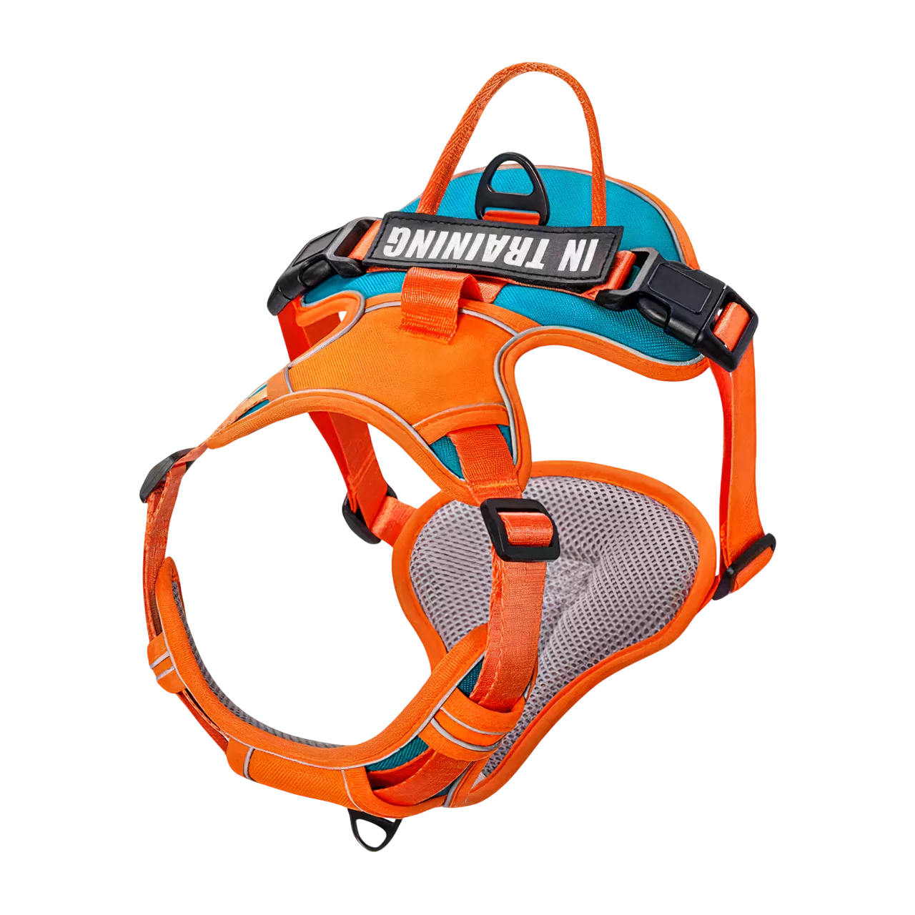 custom canine dog harness personalized active Y shape canine culture